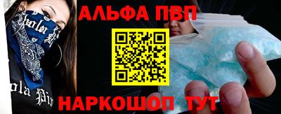 ешки Кингисепп