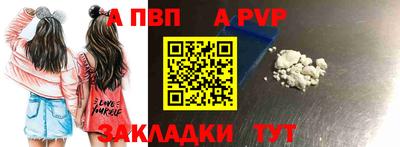 ешки Кингисепп