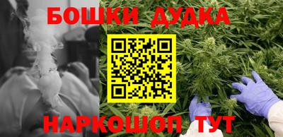 ешки Кингисепп