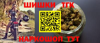 ешки Кингисепп