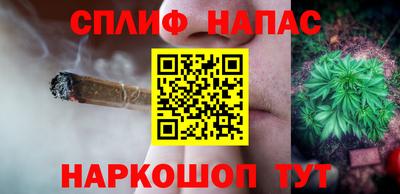 ешки Кингисепп