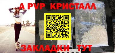 ешки Кингисепп