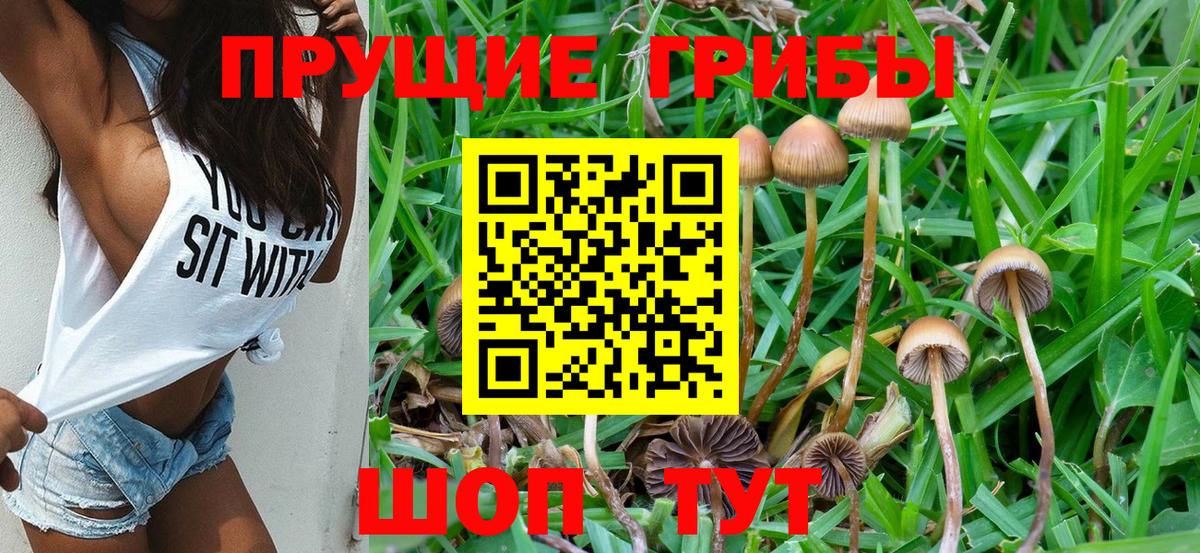 Краснознаменск  Галлюциногенные грибы MAGIC MUSHROOMS  Псилоцибиновые грибы Psilocybe  Вход с VPN 